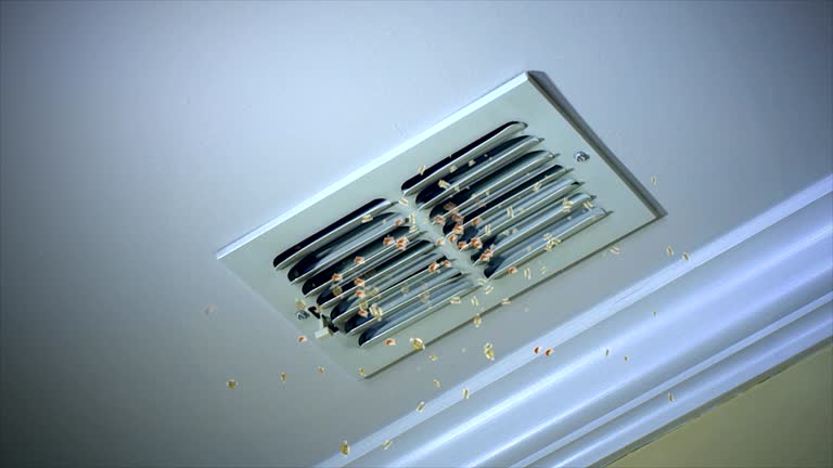 Best Commercial Air Duct Cleaning  in Roxborough Park, CO