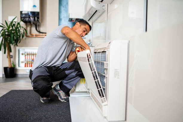 Best Air Duct Sanitizing Services  in Roxborough Park, CO