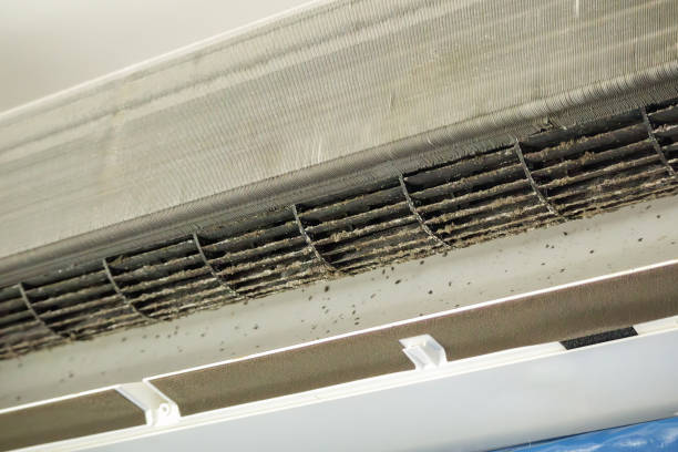 Best Affordable Duct Cleaning Services  in Roxborough Park, CO